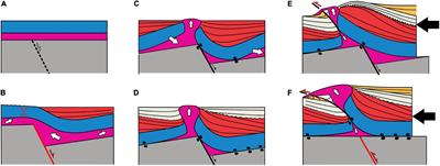Stretching and Contraction of Extensional Basins With Pre-Rift Salt: A Numerical Modeling Approach